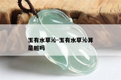 玉有水草沁-玉有水草沁算是脏吗