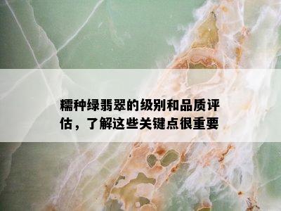 糯种绿翡翠的级别和品质评估，了解这些关键点很重要