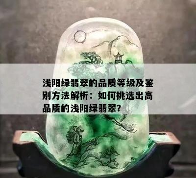 浅阳绿翡翠的品质等级及鉴别方法解析：如何挑选出高品质的浅阳绿翡翠？