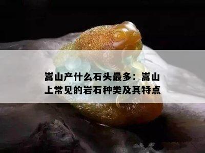 嵩山产什么石头最多：嵩山上常见的岩石种类及其特点