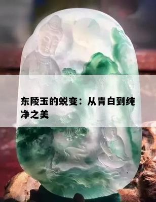 东陵玉的蜕变：从青白到纯净之美