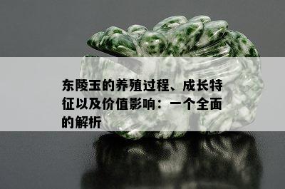 东陵玉的养殖过程、成长特征以及价值影响：一个全面的解析