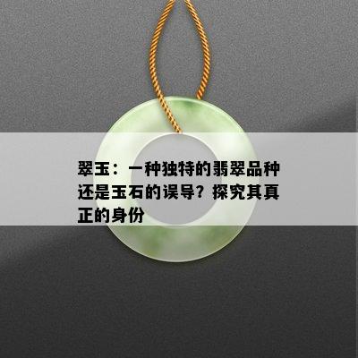 翠玉：一种独特的翡翠品种还是玉石的误导？探究其真正的身份