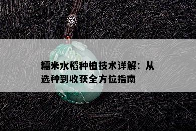 糯米水稻种植技术详解：从选种到收获全方位指南