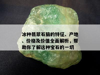 冰种翡翠石脑的特征、产地、价格及价值全面解析，帮助你了解这种宝石的一切