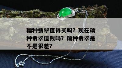 糯种翡翠值得买吗？现在糯种翡翠值钱吗？糯种翡翠是不是很差？