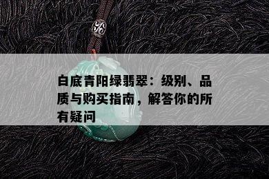 白底青阳绿翡翠：级别、品质与购买指南，解答你的所有疑问