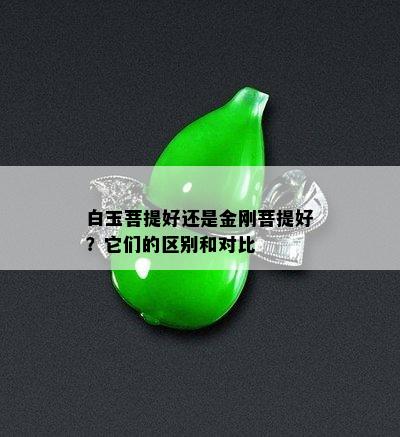 白玉菩提好还是金刚菩提好？它们的区别和对比