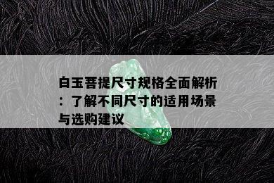 白玉菩提尺寸规格全面解析：了解不同尺寸的适用场景与选购建议