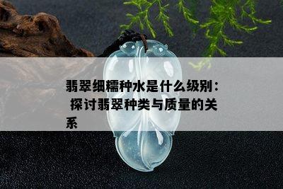 翡翠细糯种水是什么级别： 探讨翡翠种类与质量的关系