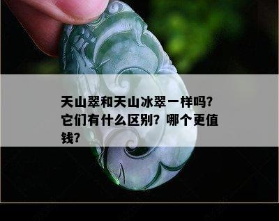 天山翠和天山冰翠一样吗？它们有什么区别？哪个更值钱？