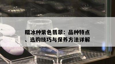 糯冰种紫色翡翠：品种特点、选购技巧与保养方法详解