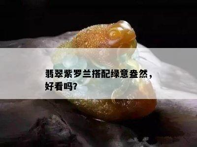 翡翠紫罗兰搭配绿意盎然，好看吗？