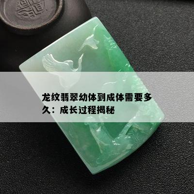 龙纹翡翠幼体到成体需要多久：成长过程揭秘