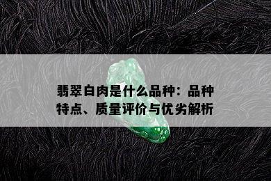 翡翠白肉是什么品种：品种特点、质量评价与优劣解析