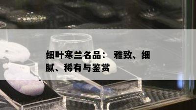 细叶寒兰名品： 雅致、细腻、稀有与鉴赏