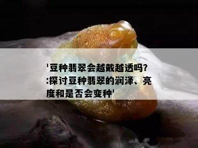 '豆种翡翠会越戴越透吗？:探讨豆种翡翠的润泽、亮度和是否会变种'