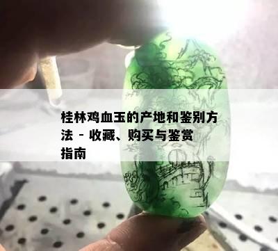 桂林鸡血玉的产地和鉴别方法 - 收藏、购买与鉴赏指南