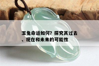 玉兔命运如何？探究其过去、现在和未来的可能性