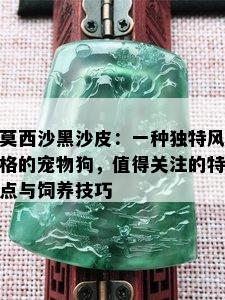 莫西沙黑沙皮：一种独特风格的宠物狗，值得关注的特点与饲养技巧