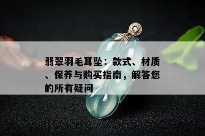 翡翠羽毛耳坠：款式、材质、保养与购买指南，解答您的所有疑问