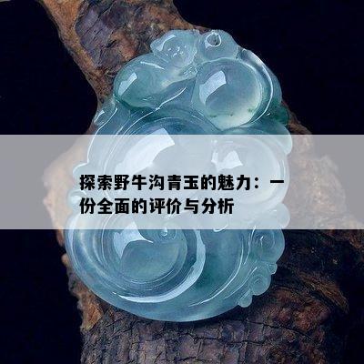 探索野牛沟青玉的魅力：一份全面的评价与分析