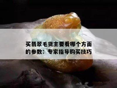 买翡翠毛货主要看哪个方面的参数：专家指导购买技巧