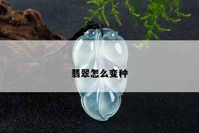 翡翠怎么变种