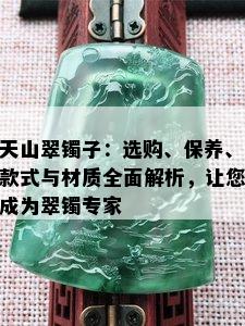 天山翠镯子：选购、保养、款式与材质全面解析，让您成为翠镯专家