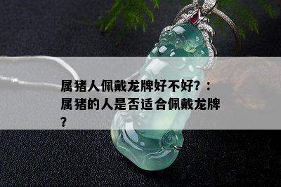 属猪人佩戴龙牌好不好？:属猪的人是否适合佩戴龙牌？