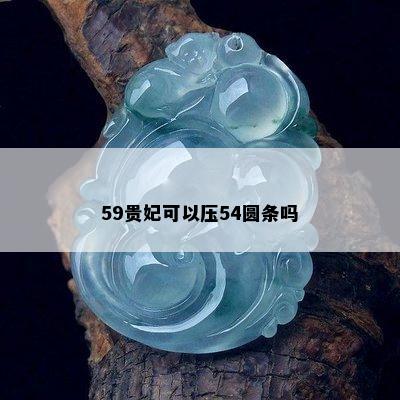 59贵妃可以压54圆条吗