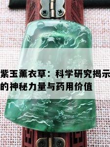 紫玉薰衣草：科学研究揭示的神秘力量与药用价值