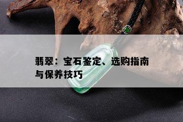 翡翠：宝石鉴定、选购指南与保养技巧