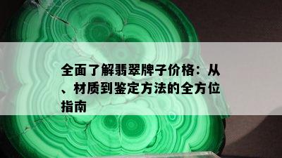 全面了解翡翠牌子价格：从、材质到鉴定方法的全方位指南