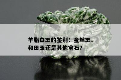 羊脂白玉的鉴别：金丝玉、和田玉还是其他宝石？