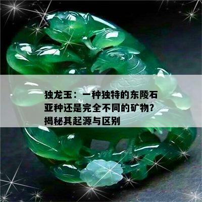 独龙玉：一种独特的东陵石亚种还是完全不同的矿物？揭秘其起源与区别