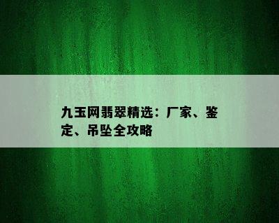 九玉网翡翠精选：厂家、鉴定、吊坠全攻略