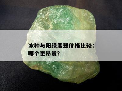 冰种与阳绿翡翠价格比较：哪个更昂贵？