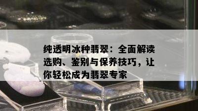 纯透明冰种翡翠：全面解读选购、鉴别与保养技巧，让你轻松成为翡翠专家