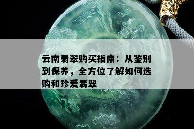 云南翡翠购买指南：从鉴别到保养，全方位了解如何选购和珍爱翡翠