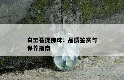 白玉菩提佛珠：品质鉴赏与保养指南