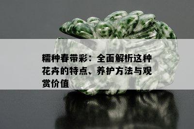 糯种春带彩：全面解析这种花卉的特点、养护方法与观赏价值