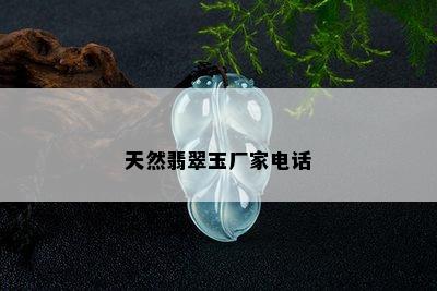 天然翡翠玉厂家电话