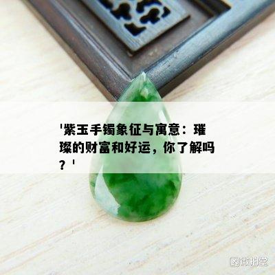 '紫玉手镯象征与寓意：璀璨的财富和好运，你了解吗？'