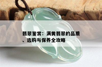 翡翠鉴赏：满黄翡翠的品质、选购与保养全攻略