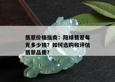 翡翠价格指南：阳绿翡翠每克多少钱？如何选购和评估翡翠品质？