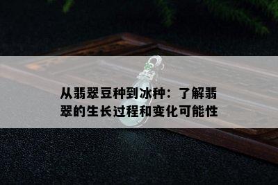 从翡翠豆种到冰种：了解翡翠的生长过程和变化可能性