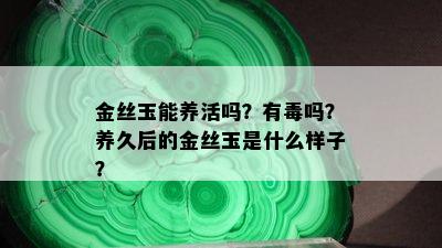 金丝玉能养活吗？有吗？养久后的金丝玉是什么样子？