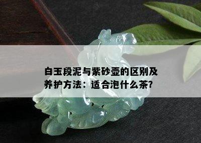 白玉段泥与紫砂壶的区别及养护方法：适合泡什么茶？