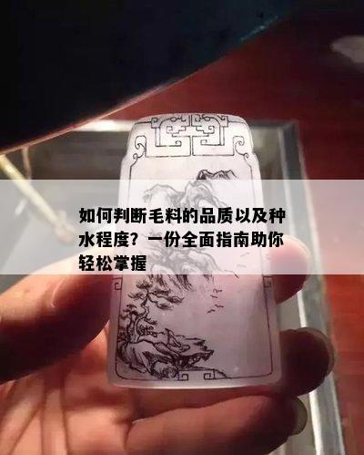 如何判断毛料的品质以及种水程度？一份全面指南助你轻松掌握